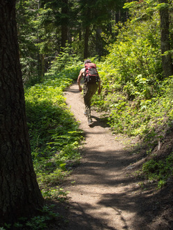 Dad hiking up the Tilly Jane ski trail