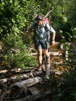 The trail conditions degraded after we forked off the Chiwawa River trail onto the Red Mountain trail