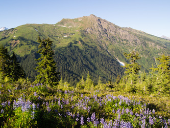 Indian Head Peak from the PCT