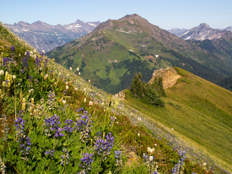 Indian Head Peak from the Johnson Mountain trail