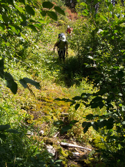 The Mill Creek Trail was difficult to follow in places, but the only time we really lost the trail was at this creek crossing.