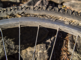 After a couple miles I suffered severe tire damage and had to hike the rest of the way.  I forgot to check my brake alignment before I started riding.