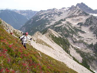 Heather slopes below the summit of Burnt Boot.