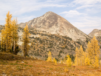 Osceola Peak from the trail near Lake Doris.