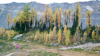 In the meadow on the north side of Slate Pass.