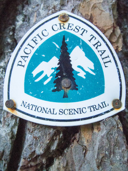 I started at the Snoqualmie Pass PCT trail head.