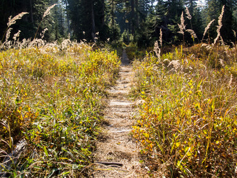 The Dutch Miller Gap Trail.