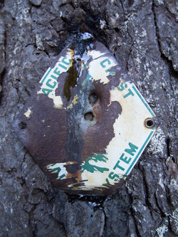 A PCT sign on the Red Pass trail.  I noticed two of these signs on the Red Pass Trail and one on the Dutch Miller Gap Trail.  These signs have to date back to the 1970's or earlier since the PCT was moved to the other side of the Snoqualmie Range in 1978.