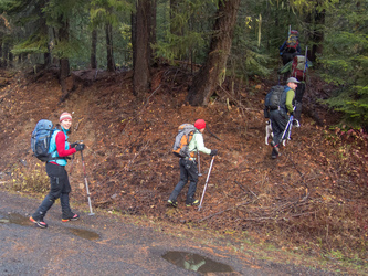 We parked on Road 9730 (Jack Creek) immediately south of Bearjack Ridge West and headed up a ridge on the SW side of the west peak.