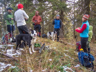 The summit of Bearjack Ridge West.