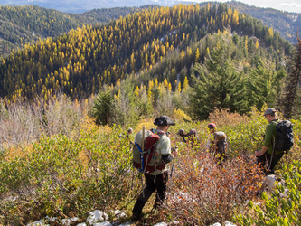 After spending an hour on the summit of Bearjack Ridge East, we headed down the SE ridge.