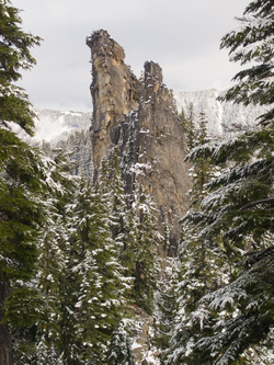 Fangs on the NE ridge