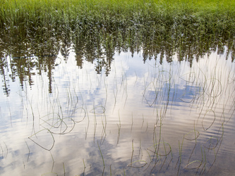 Myrtle Lake