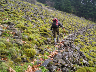 Switchbacking up to the remains of a wagon road from the 1870s.