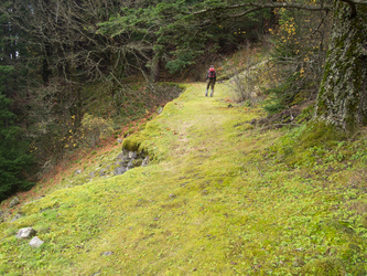 On the old wagon road.