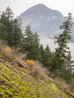 Wind Mountain.  At one point Shellrock Mountain and Wind Mountain may have been part of the same mountain.