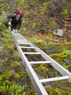 We took a detour west along a trail under the power lines and came across this ladder where the trail ascended a small cliff.