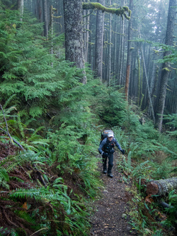 On the Neiderprum Trail.