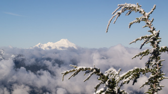 Mount Baker in the distance.