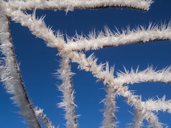 Hoar frost