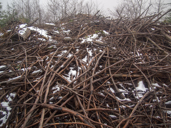 The summit of Taylor Mountain was this gigantic slash pile.