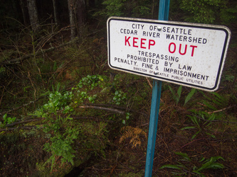 I continued SE toward Brew Hill, skirting the watershed boundary.  Unfortunately, I discovered that the boundary has expanded eastward since my map was made and has completely engulfed Brew Hill.  I followed the new boundary east for a while, eventually it became very brushy and I gave up.