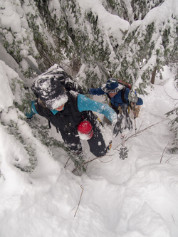 A bit of steep, brushy wallowing through powder.