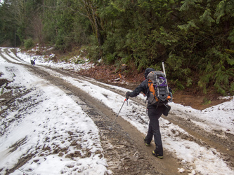 We parked a quarter of a mile from the Mount Higgins lookout trail head and walked the road to the trail head.