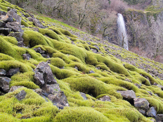 Cape Horn Falls.