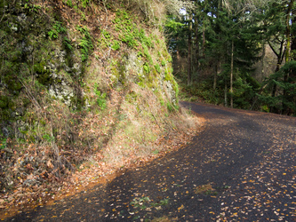 The trail merges with a road for about a mile.