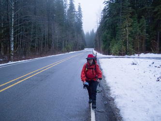 We parked at the south trail head for the Old Sauk River (which is further north than on Greentrails) and walked the Mountain Loop Highway a short distance south before plunging into the brush.