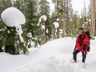 Snow blobs on snags.