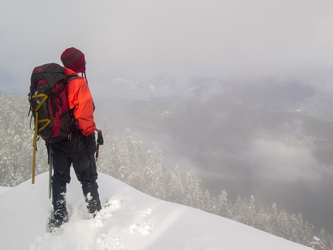 On the summit of Iron Mountain