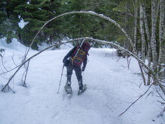 We decided to descend via the logging roads so we would not have to bushwack in the dark.