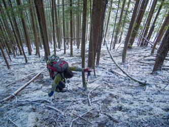 Most of Razorback's NW ridge was surprisingly brush-free.