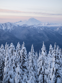 Mount Baker.