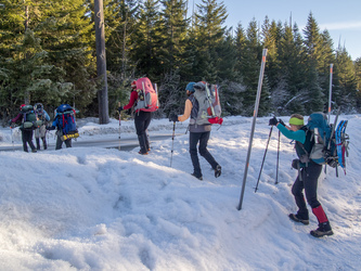 Our crew of eight leaving the Kautz Creek Trail Head.