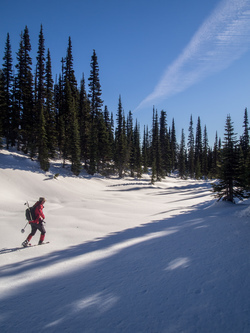 Now it is just me and Matt going to one more summit.  Carla and Lindsay headed back.