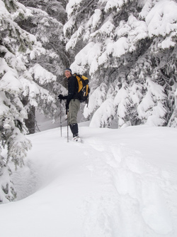 Once the snow got deep, Cricket started breaking and wouldn't slow down.