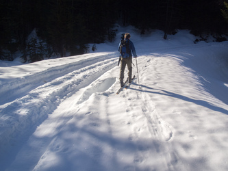 The truck track ruts persisted even after we got onto the Hansen Creek Road.