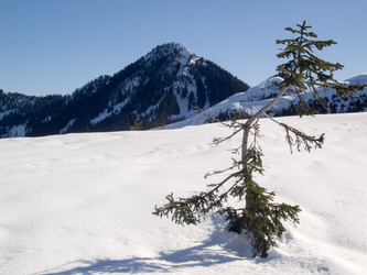 Bearscout Peak