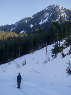 Bearscout Peak