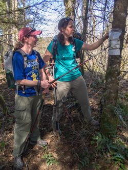 Marmot and Wired try to decipher a water logged note on the summit of Archer Mountain.