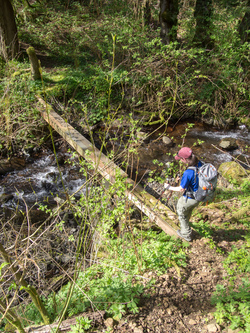 Crossing the creek the runs along the west side of Archer.