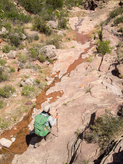 Lonetree Creek.