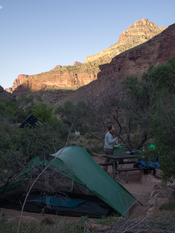In Cottonwood Camp.