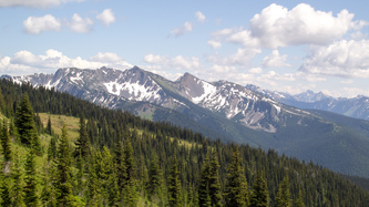 Jackita Ridge