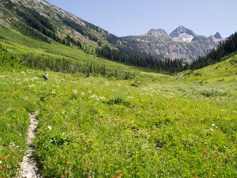 I was very happy to arrive at the Fisher Creek trail.