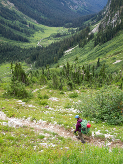 Looking down at Spider Meadow.