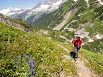 On the north slopes of Mix-up Peak with Cascade Pass in the background.